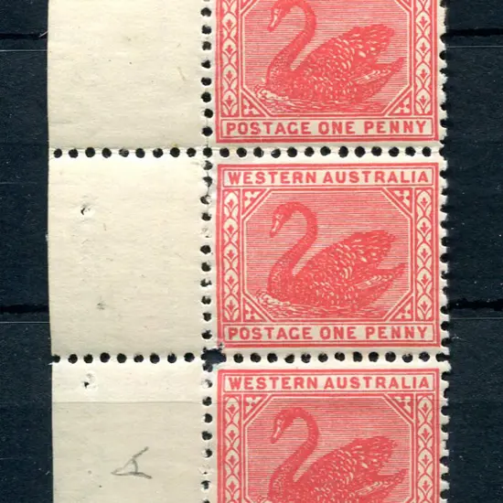 1905/12 1d rose pink swan, Crown over A wmk, perf. ...