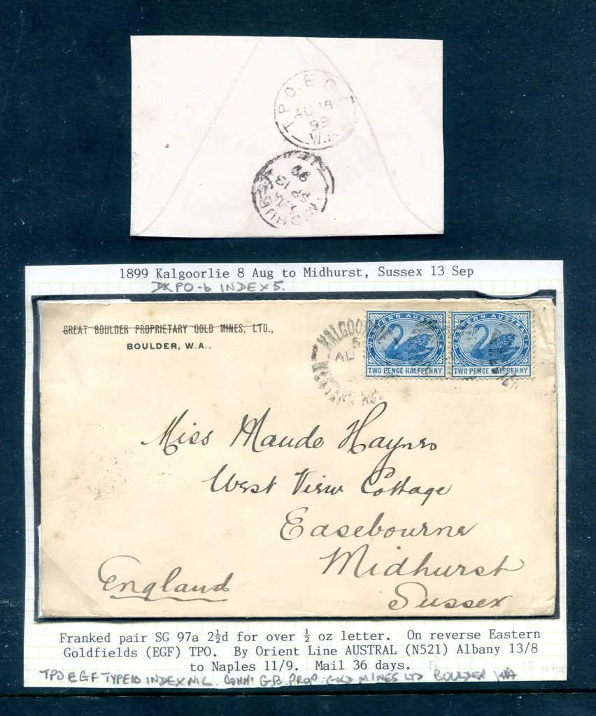 1899 (18th Aug)  2½ blue swans pair tied by ... Image 1++