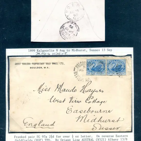 1899 (18th Aug)  2½ blue swans pair tied by ...