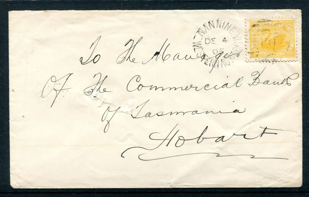 1905 (4th Dec) Nannine to Tasmania with 2d swan ... Image 1++