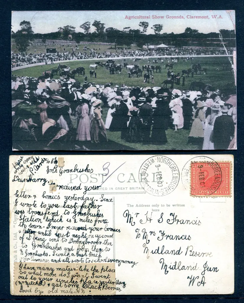 1909 (9th Feb) North Greenbushes A26 tying 1d swan ... Image 1++