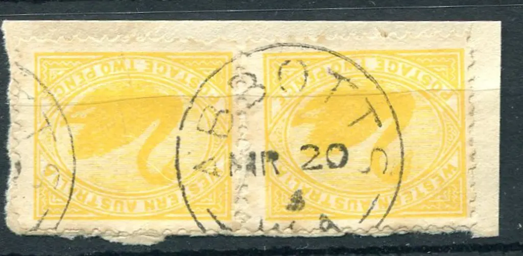 Abbotts 3b in Nil 95% strike on 2d yellow swans ... Image 1++