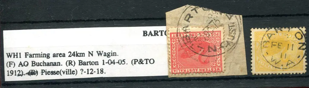 Barton 3b 90% crisp strike on 2d yellow swan for ... Image 1++