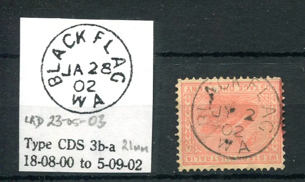 Black Flag 3b-a 95% strike on 1d swan Only ... Image 1++