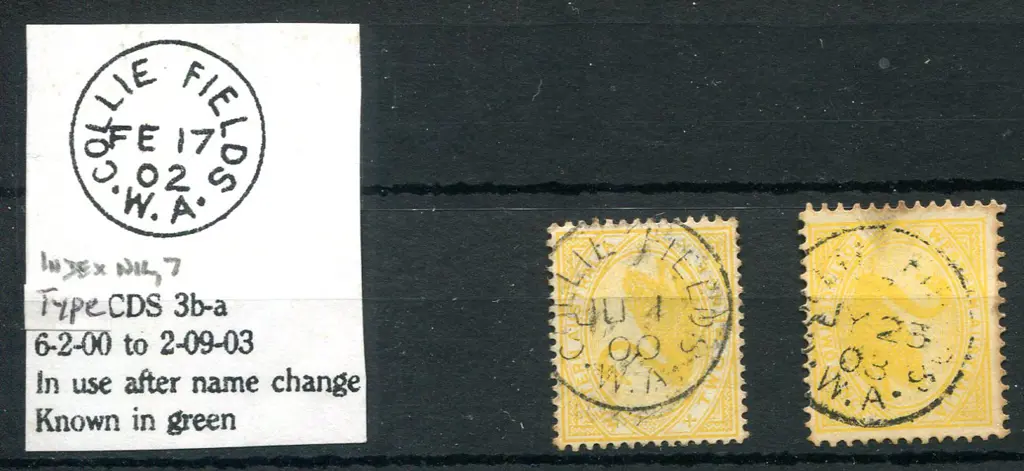 Collie Fields 3b 95 % strike on 2d yellow swan ... Image 1++