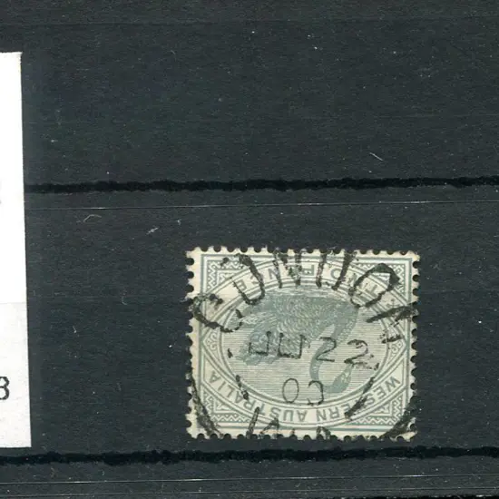 Condon 2b Central strike on 2d grey swan for JU 22 ...