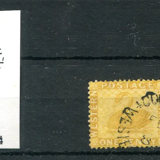 Cossack CDS type 1 on 1d swans pair (reinforced) ...