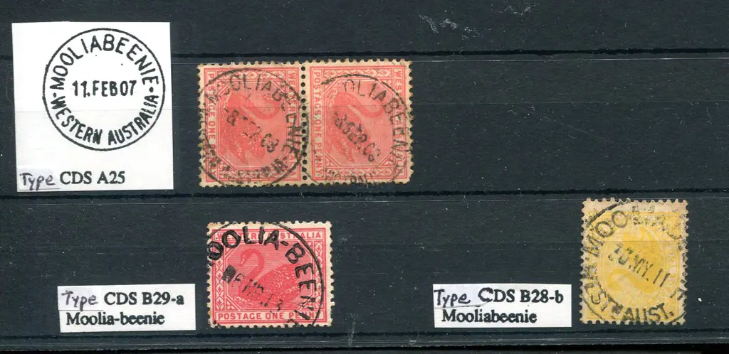 Mooliabeenie A25 Almost 2 full strikes on 1d swan ... Image 1++