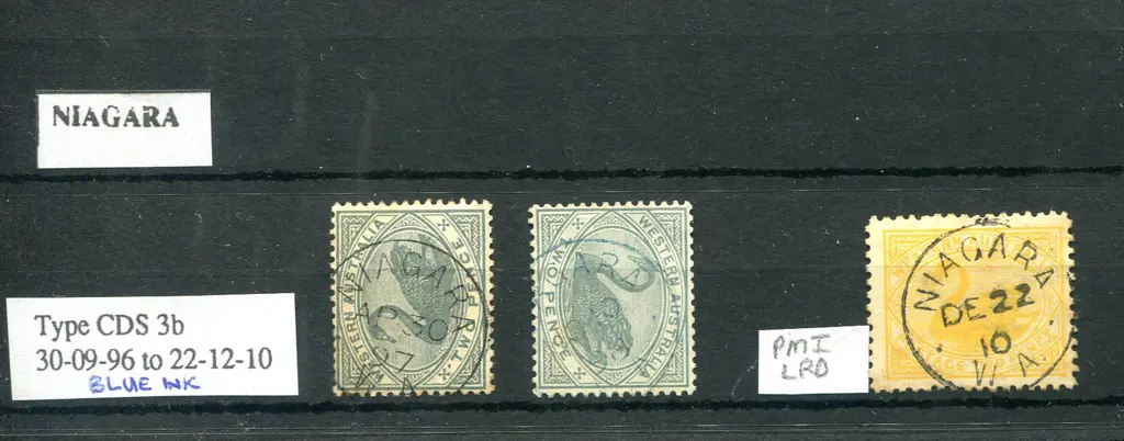 Niagara 3b 90% crisp clear strike on 2d grey swan ... Image 1++