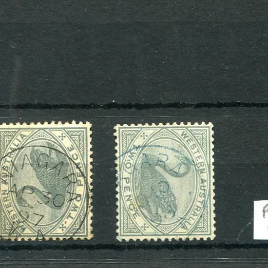 Niagara 3b 90% crisp clear strike on 2d grey swan ...