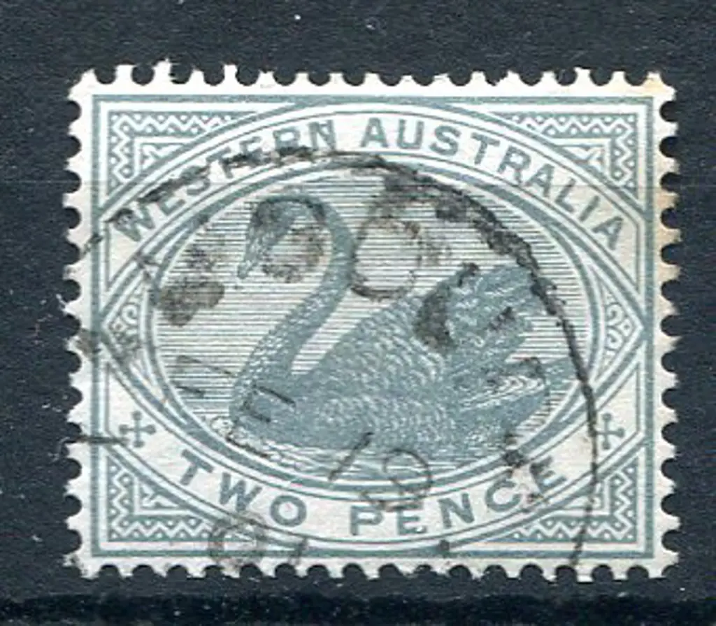 Tambourah 3b An 80% strike on 2d grey swan dated ... Image 1++