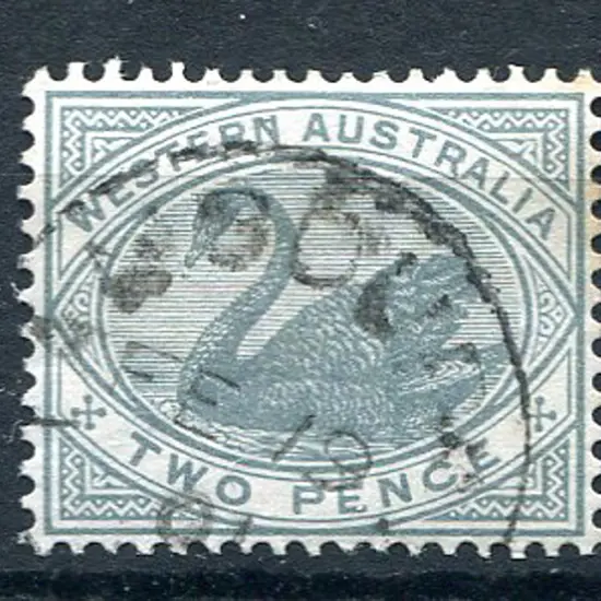 Tambourah 3b An 80% strike on 2d grey swan dated ...