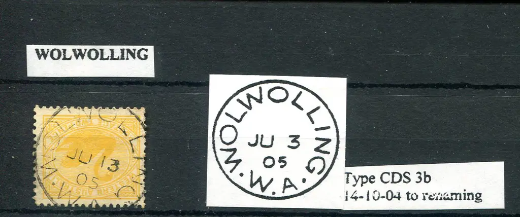 Wolwolling 3b 95& central strike on 2d yellow swan ... Image 1++