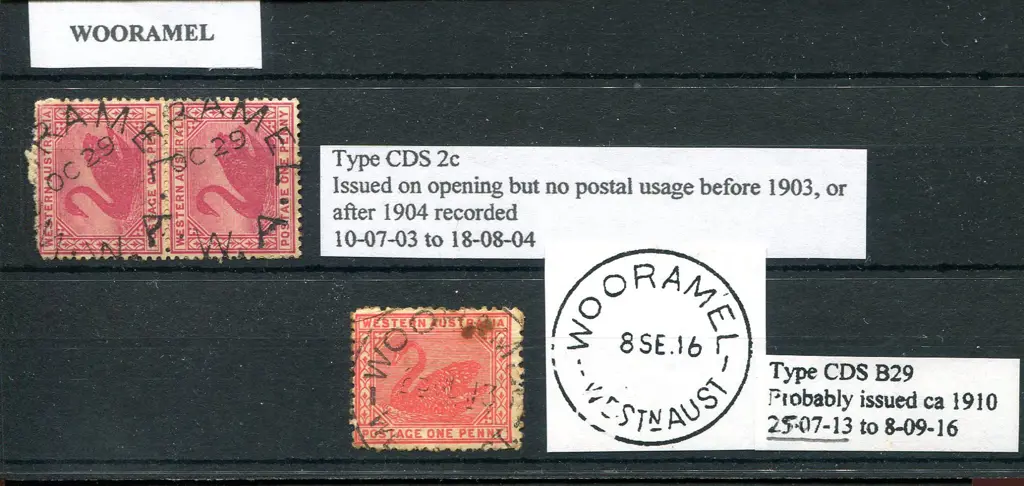 Wooramel 2c strikes x 2 overlapping on 1d carmine ... Image 1++