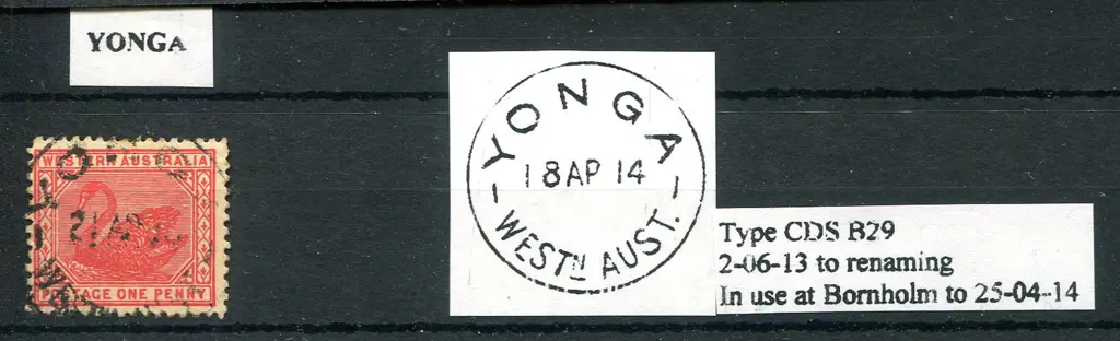 Yonga B29 on 1d CrA swan. 75% variable strike but ... Image 1++