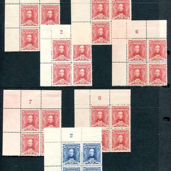 1930 1½d Sturt in top left plate number blocks of ...
