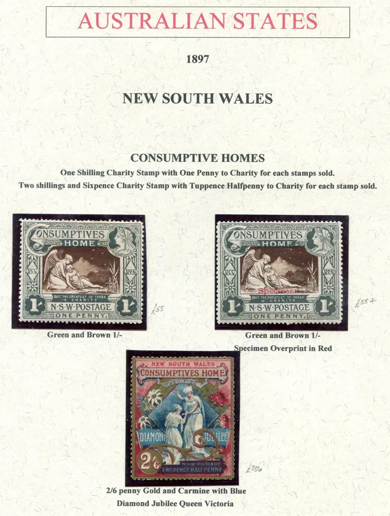 1897 1/- Consumptive Homes charity MUH with usual ... Image 1++