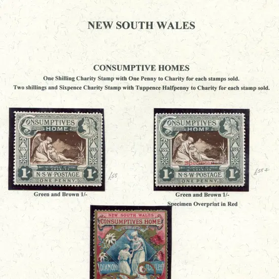 1897 1/- Consumptive Homes charity MUH with usual ...