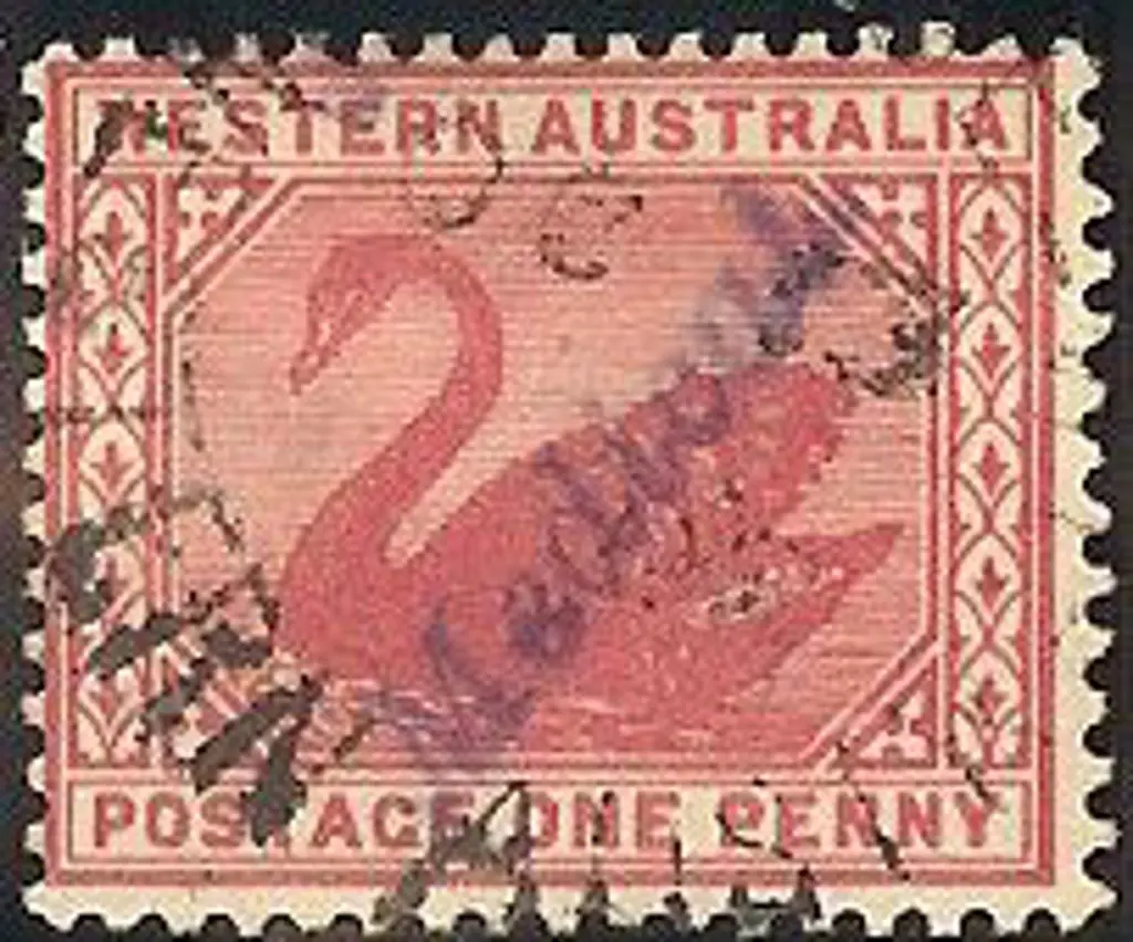 1905 1d rose-pink swan with ''Medical'' overprint. ... Image 1++