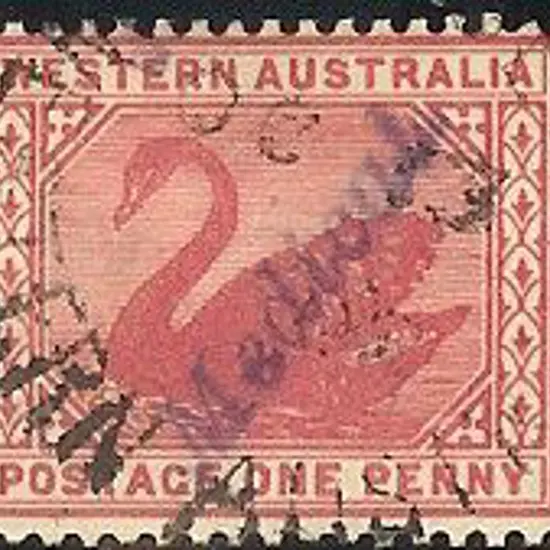 1905 1d rose-pink swan with ''Medical'' overprint. ...