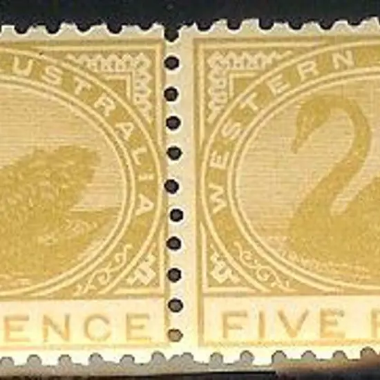 1905 5d pale olive-bistre swan horiz pair. MLH SG ...