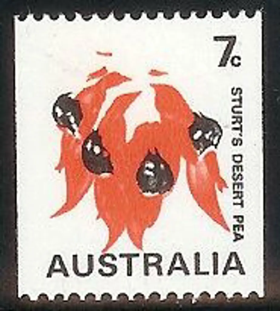 1971 7c Sturts Desert Pea coil with missing buff & ... Image 1++