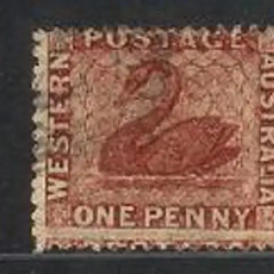 1854 1d black swan close to touching margins & ...