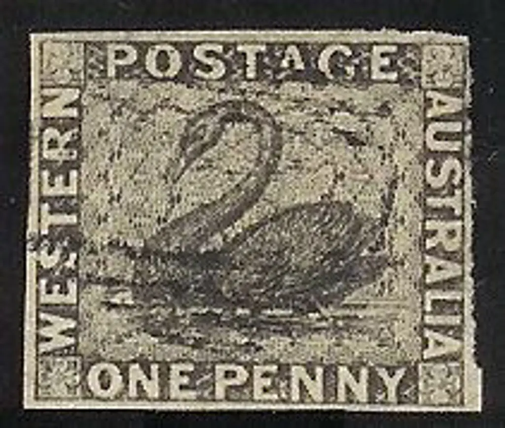 1854 1d black swan fine used with light void grid ... Image 1++