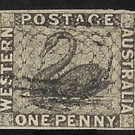 1854 1d black swan fine used with light void grid ...