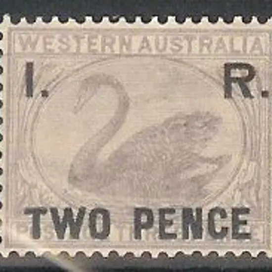 1893 2d on 3d lilac swan ovpt I.R. Fresh MLH.