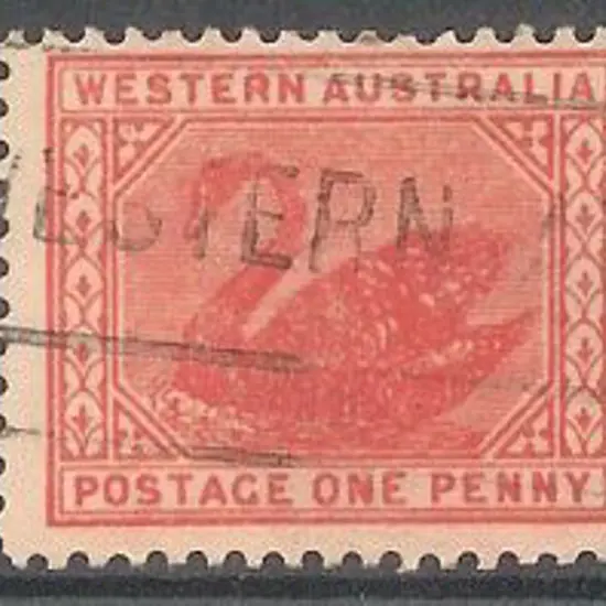 1905 1d carmine swan with wmk Crown A sideways ...