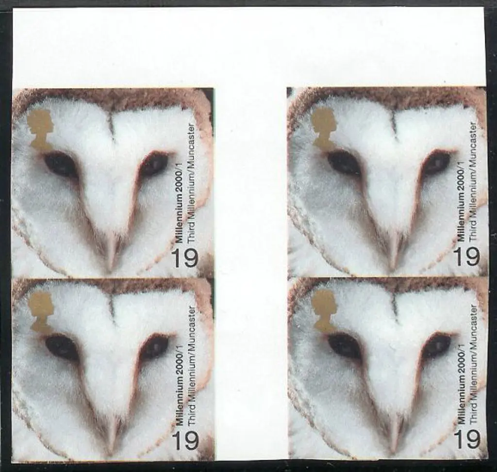 2000 19p Barn Owl (Millennium Projects) ... Image 1++