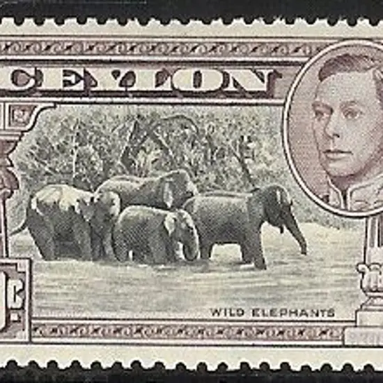 1938 50c black & mauve KGVI. Perf. 13 x 11½  MLH & ...