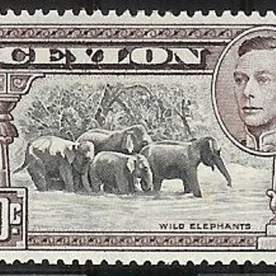1942 50c black & mauve KGVI. Perf. 14 (line)  MLH ...
