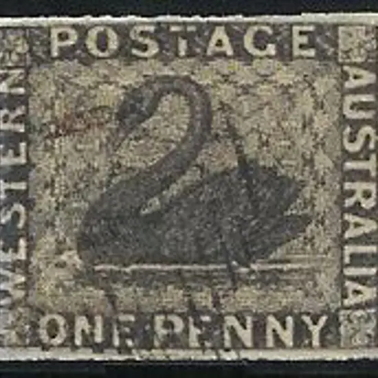 1854 1d black imperf swan with 4 full clear ...