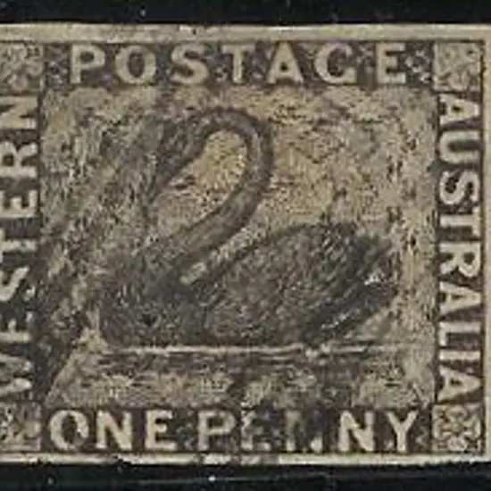 1854 1d black swan. F/U 3 ½  margin copy. SG 1 ...