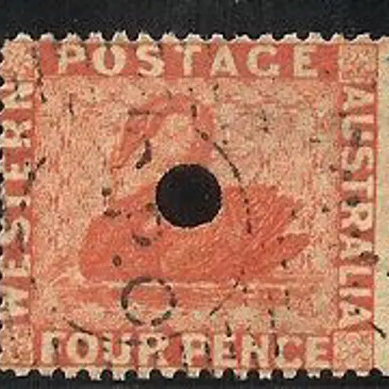 1861 4d vermilion swan with 4mm puncture F/U with ...