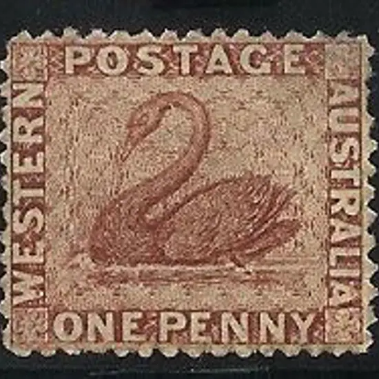 1863 1d lake swan, mint without gum. Well centred. ...