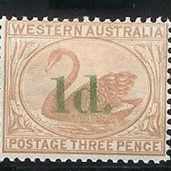 1855 1d surcharge on 3d brown swans: SG 91 pale ...