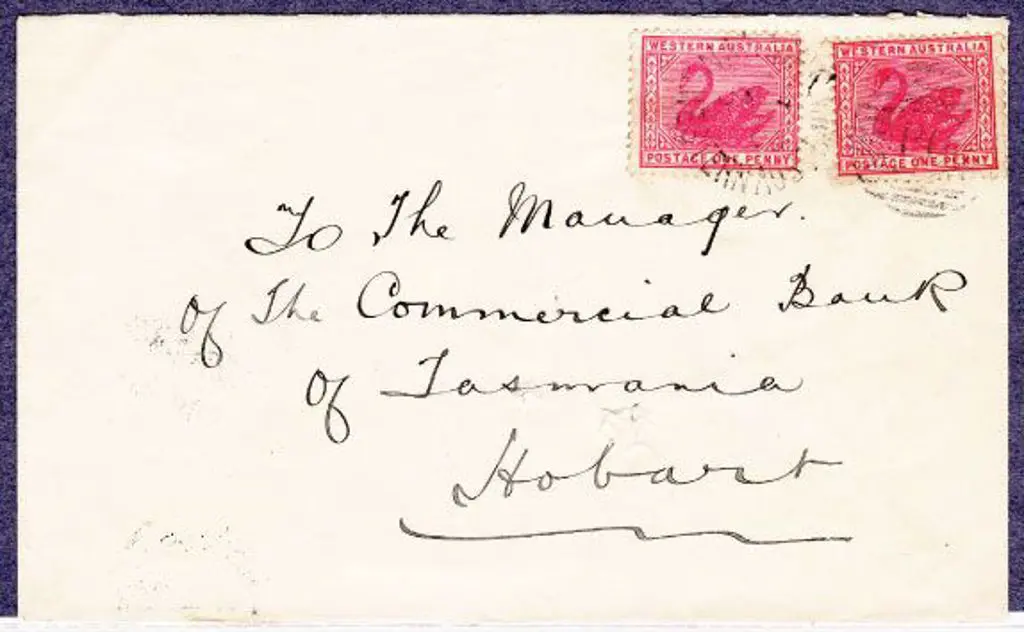 Nannine DxPO 4 Jan 1900 on 2 x 1d swans addressed ... Image 1++