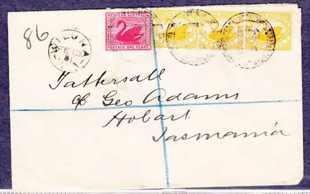 Wiluna 3b for 12 Feb 1901 on Registered Tatts. ... Image 1++