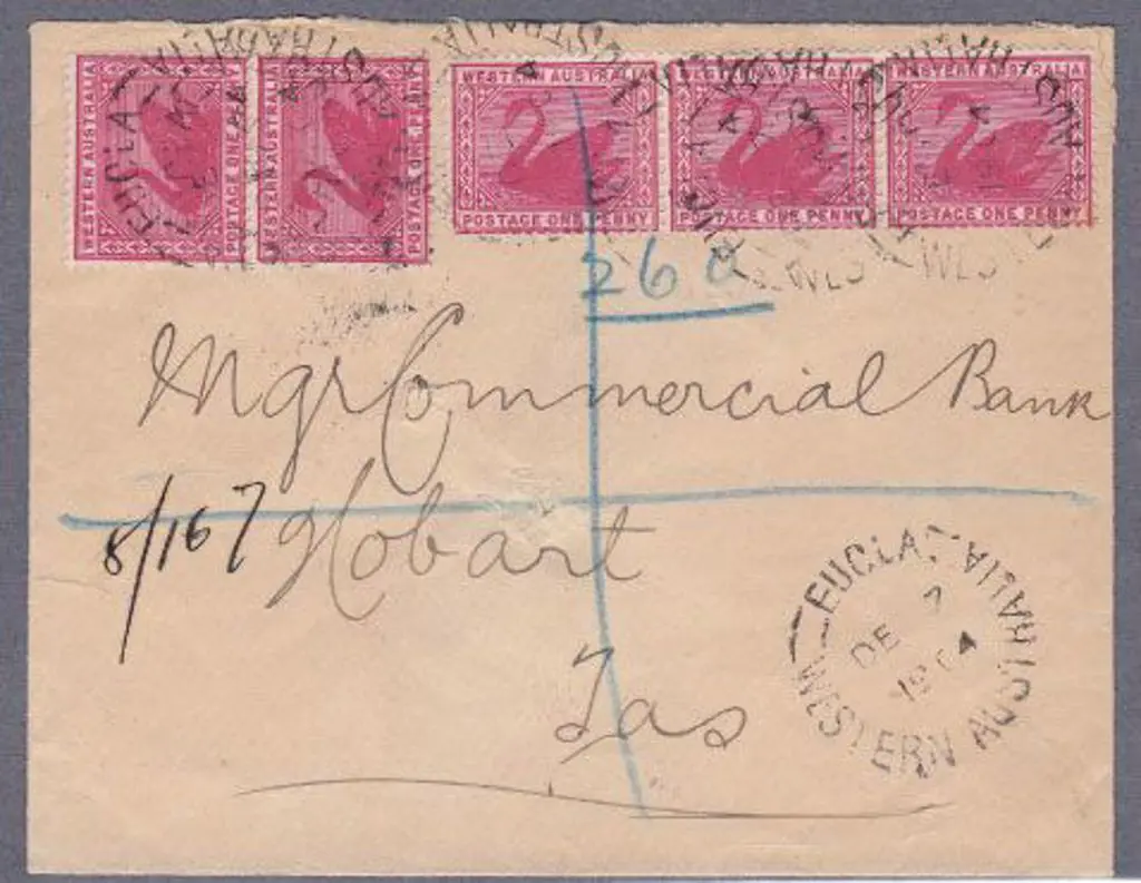 Eucla CDS1 for 7 Dec 1904 on Registered Tatts ... Image 1++
