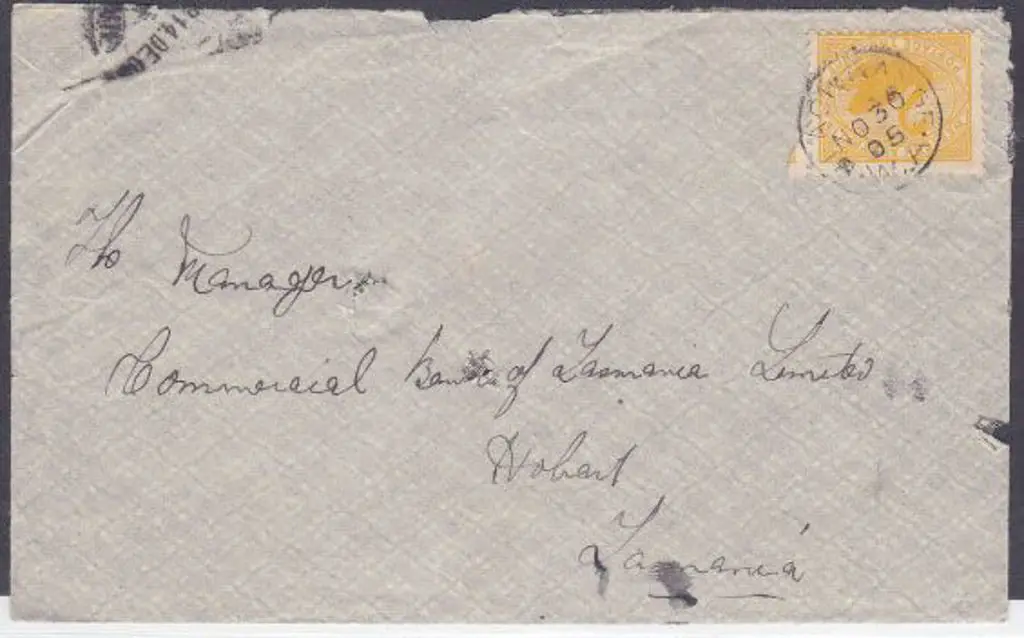 Black Range 3b dated 30 Nov 1905 tied to 2d yellow ... Image 1++