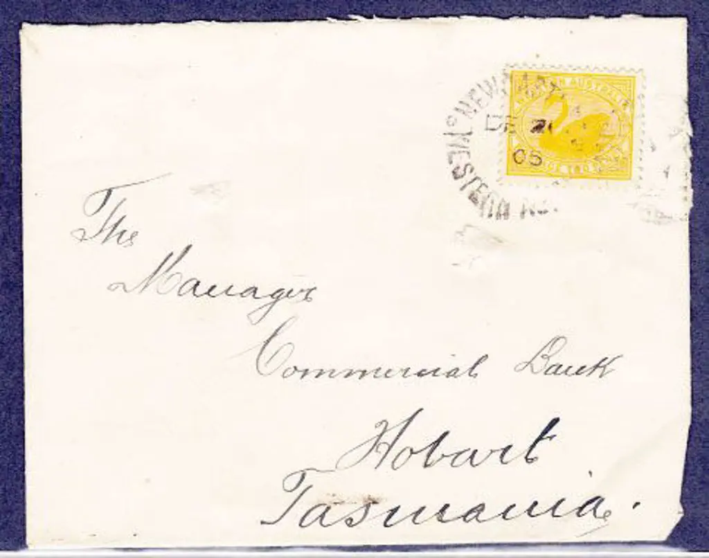 Newcastle DxL2 tied to 2d yellow swan on 21 Dec ... Image 1++