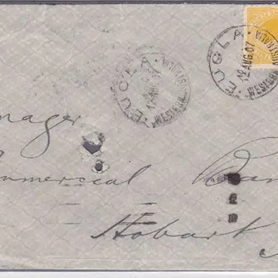 Eucla A26 (R2) tied to 2d yellow swan on 12 Aug ...