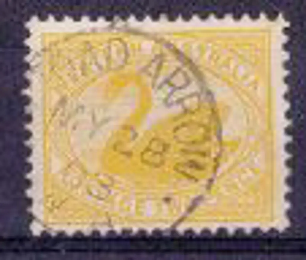Broad Arrow 3b-b 85% strike on 2d yellow swan 28 ... Image 1++