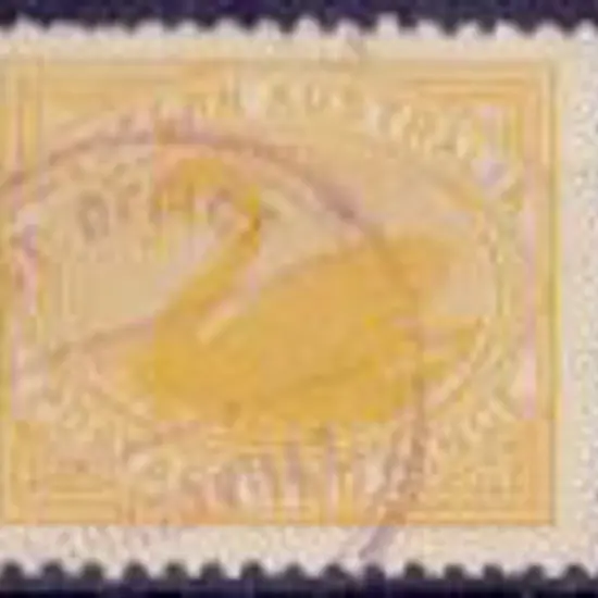 Parkerville CRS (1906) on 2d yellow swan (no date)