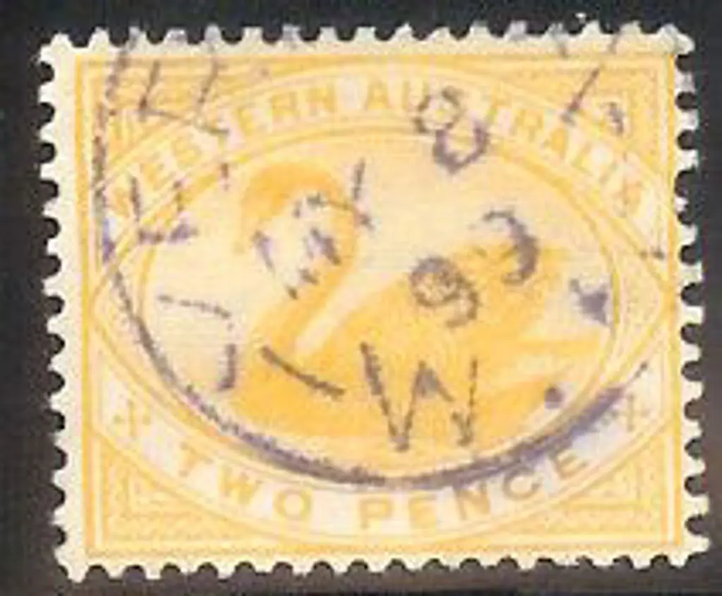 Yerilla 3b in violet. 70% strike on 2d yellow swan ... Image 1++