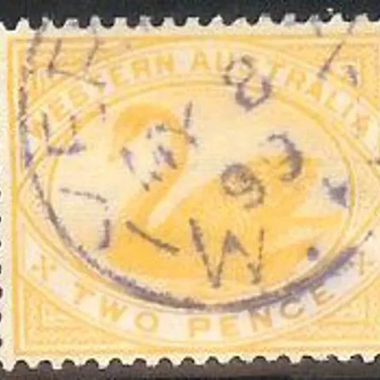 Yerilla 3b in violet. 70% strike on 2d yellow swan ...