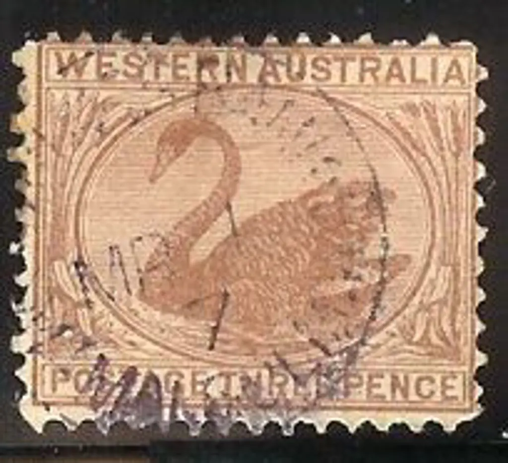 Mt Malcolm Sbii 85% strike on 3D brown swan. ... Image 1++